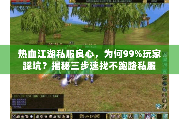 热血江湖私服良心，为何99%玩家踩坑？揭秘三步速找不跑路私服