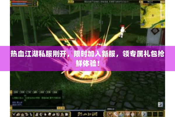 热血江湖私服刚开，限时加入新服，领专属礼包抢鲜体验！