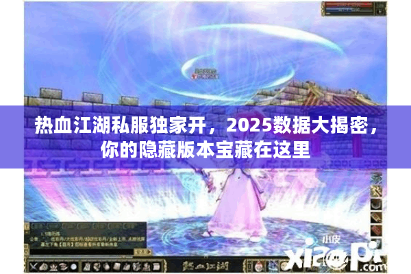 热血江湖私服独家开，2025数据大揭密，你的隐藏版本宝藏在这里