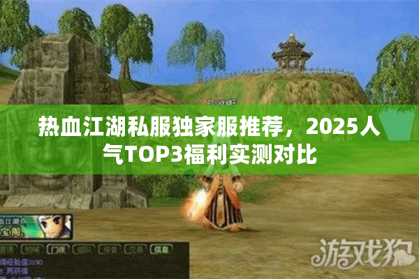 热血江湖私服独家服推荐，2025人气TOP3福利实测对比