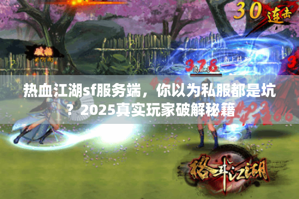 热血江湖sf服务端，你以为私服都是坑？2025真实玩家破解秘籍