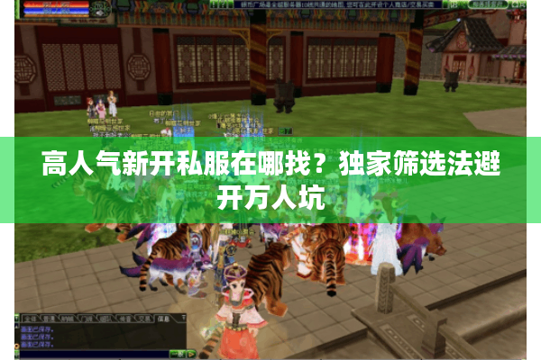 高人气新开私服在哪找？独家筛选法避开万人坑