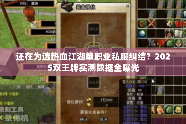 还在为选热血江湖单职业私服纠结？2025双王牌实测数据全曝光