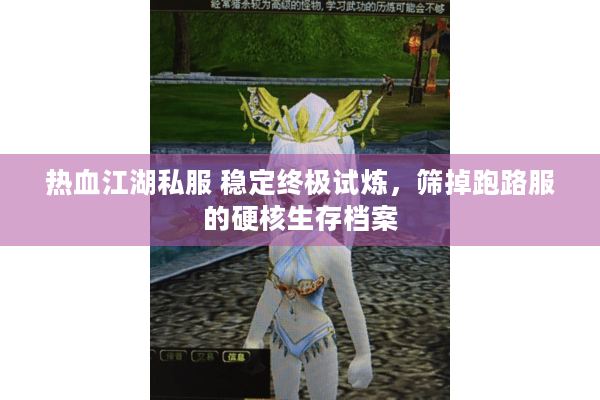 热血江湖私服 稳定终极试炼，筛掉跑路服的硬核生存档案