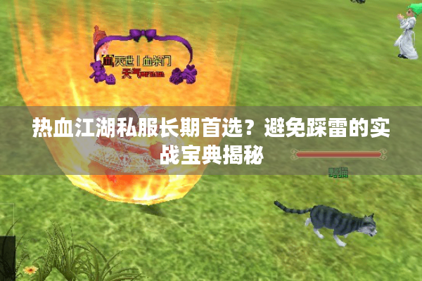 热血江湖私服长期首选？避免踩雷的实战宝典揭秘