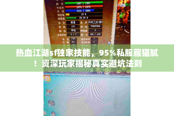 热血江湖sf独家技能，95%私服藏猫腻！资深玩家揭秘真实避坑法则